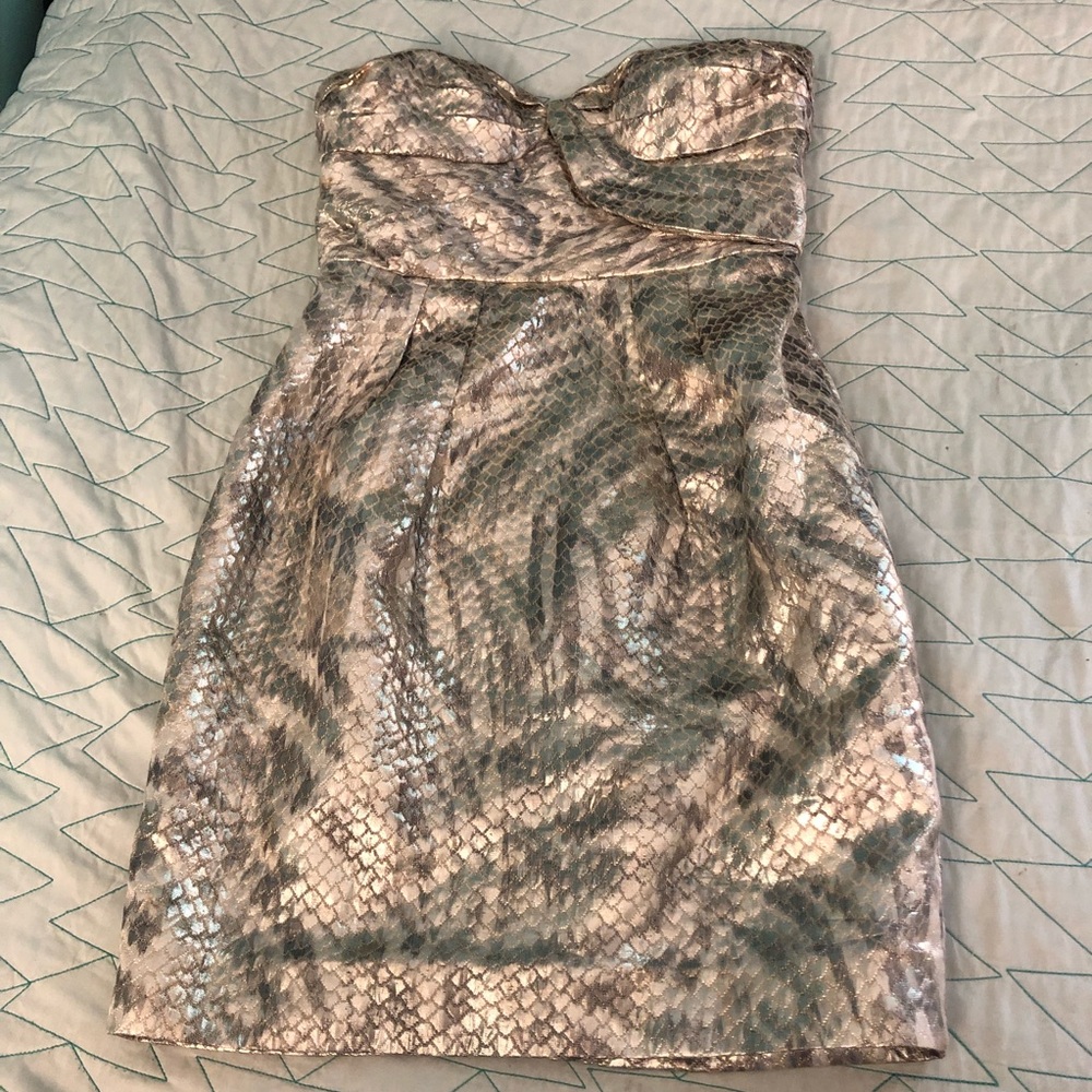 Leifsdottir Strapless Dress in Metallic Gold and Silver